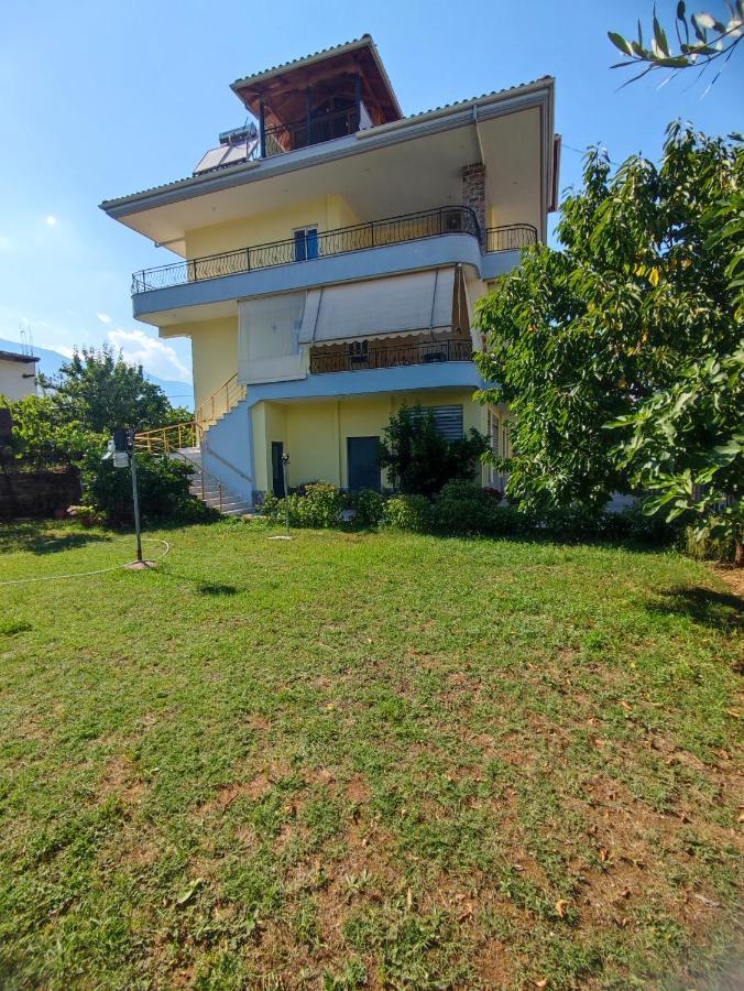 Cheerful 2 Bedroom Villa With Free Parking. Гірокастра Екстер'єр фото
